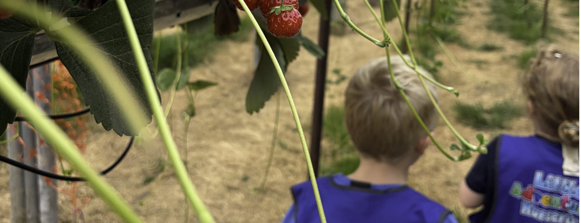 Little Adventures Nursery